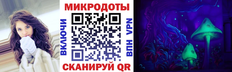 дарнет шоп Городец Псилоцибиновые грибы мухоморы