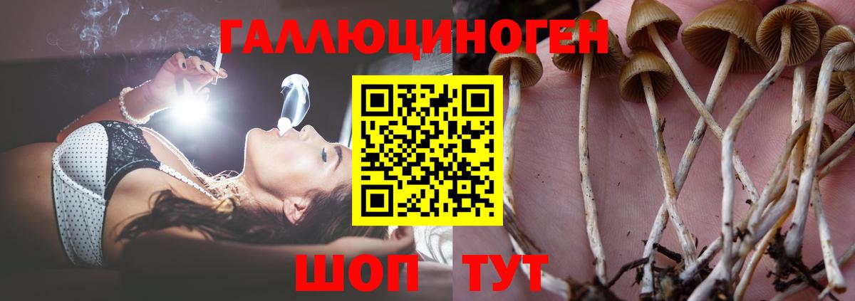 Псилоцибиновые грибы мухоморы  Вход с VPN  Городец 